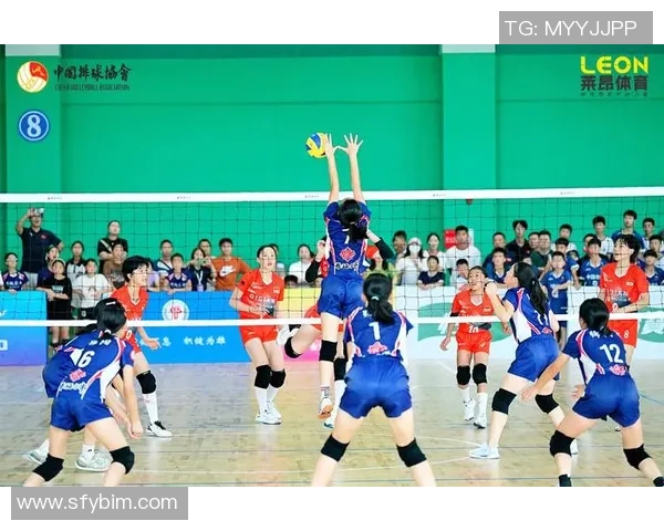 专访李伟:深入探讨排球领域的成功秘诀与未来发展方向 专访李伟:深入探讨排球领域的成功秘诀与未来发展方向