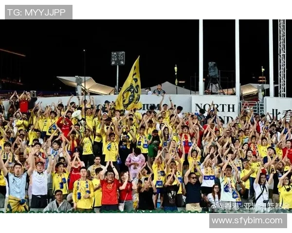 足球巨星瞬间集锦回顾激情时刻展现球场风采与荣耀时刻