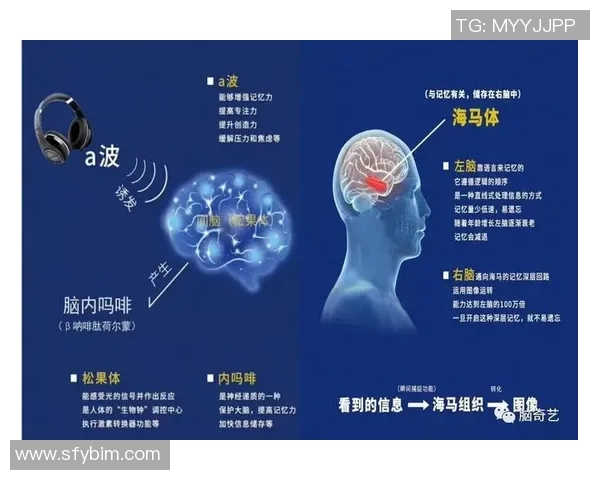 专访陈军：揭示足球成功背后的秘密与经验分享