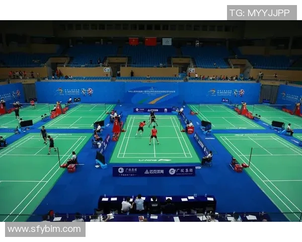 西安羽毛球队全运会技术表现分析与未来发展展望 西安羽毛球队全运会技术表现分析与未来发展展望