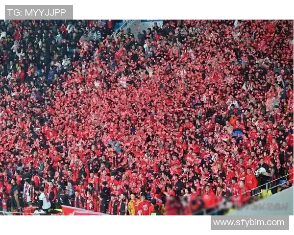 足球明星齐聚贺州激情对决引发球迷热潮盛况空前