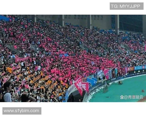 足球明星大罗全民热潮引领新一代球迷激情与梦想的交汇点