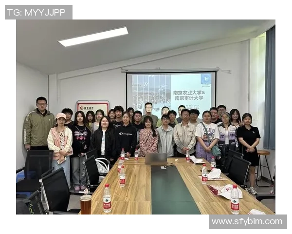 南京羽毛球队比赛经验深度对比与分析探讨