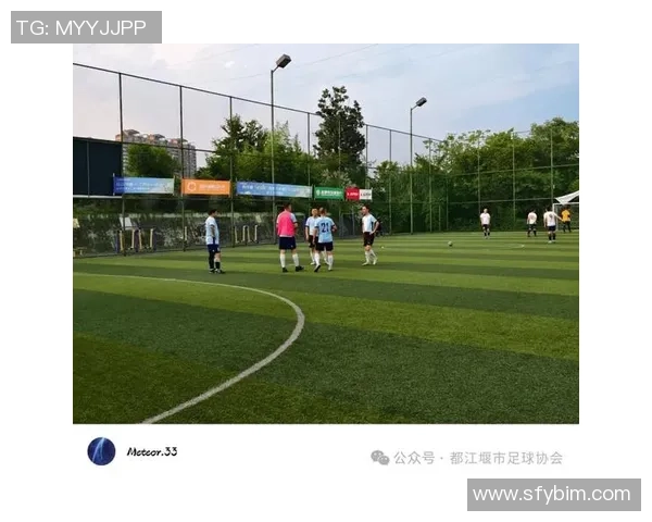 成都足球队在邀请赛中的灵活性表现分析与战术探讨