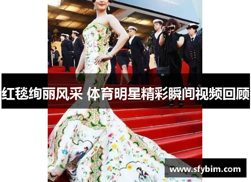红毯绚丽风采 体育明星精彩瞬间视频回顾