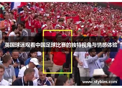 英国球迷观看中国足球比赛的独特视角与情感体验