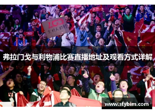 弗拉门戈与利物浦比赛直播地址及观看方式详解